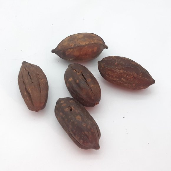 African Rattan Basket and Dried Display Objects - Picture 10 of 11